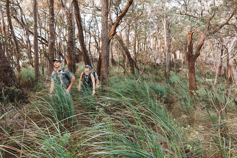 Cairns Rainforest Hiking Experience Incredible Mountains Remote Waterfall - Accommodation VIC 8