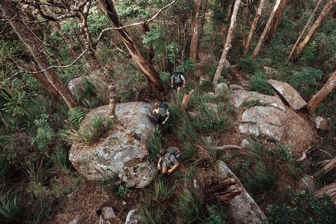 Cairns Rainforest Hiking Experience Incredible Mountains Remote Waterfall - Accommodation VIC 1