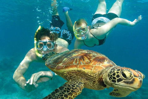 Cairns Pullman Cairns International 5 Nights Package Combo - Accommodation VIC 4