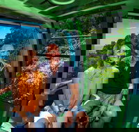 Sightseeing Kuranda Self-Driving Tour - Accommodation VIC