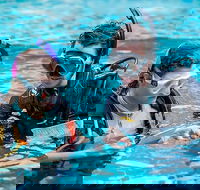 PADI Diving Courses on the Gold Coast