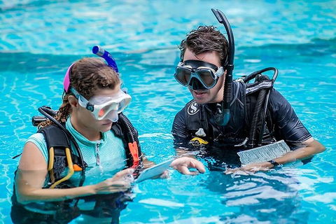 PADI Diving Courses On The Gold Coast - Accommodation VIC 0