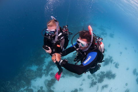 PADI Diving Courses On The Gold Coast - Accommodation VIC 5