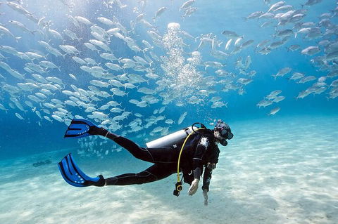 Exciting Gold Coast Diving Excursions - Accommodation VIC 0