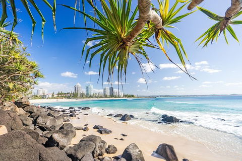 Exciting Gold Coast Diving Excursions - Accommodation VIC 3