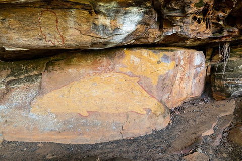 Half Day Aboriginal Rock Art Experience In Queensland - Accommodation VIC 3
