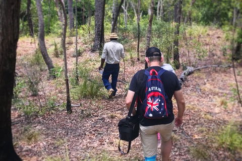 Half Day Aboriginal Rock Art Experience In Queensland - Accommodation VIC 5