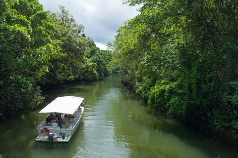 World Heritage Highlights: Reef/Daintree/Cape Tribulation - Accommodation VIC 1