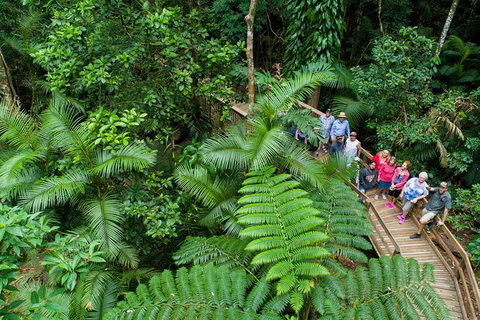 World Heritage Highlights: Reef/Daintree/Cape Tribulation - Accommodation VIC 3