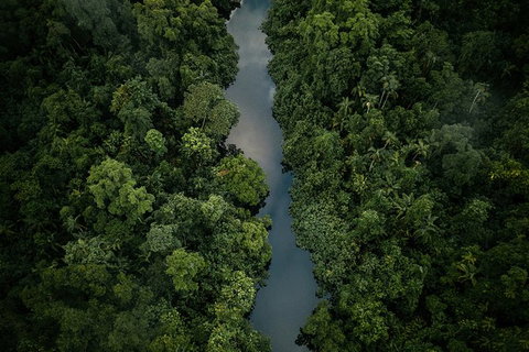 World Heritage Highlights: Reef/Daintree/Cape Tribulation - Accommodation VIC 10