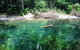 World Heritage Highlights: Reef/Daintree/Cape Tribulation - thumb 4