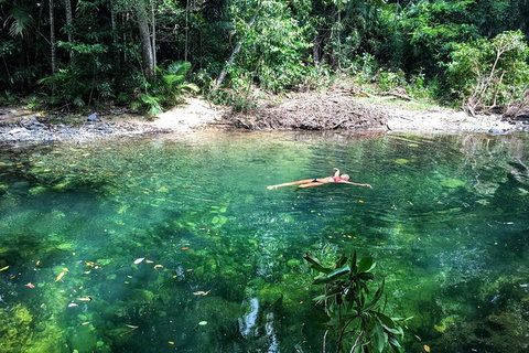 World Heritage Highlights: Reef/Daintree/Cape Tribulation - Accommodation VIC 4
