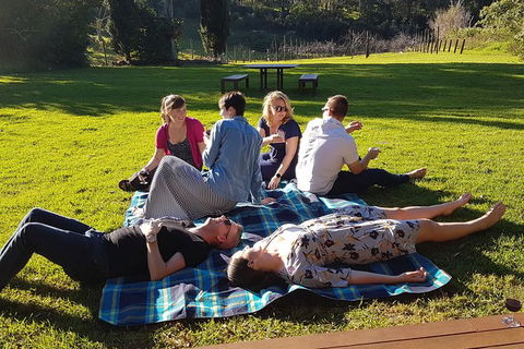 Mt Tamborine - Hinterland Wonders Self Guided - Accommodation VIC 1