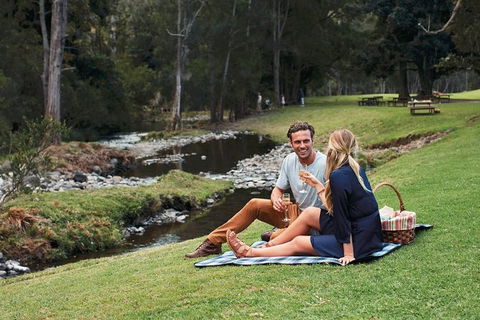 Mt Tamborine - Hinterland Wonders Self Guided - Accommodation VIC 0