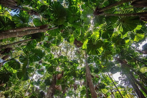 5 Day Australia Retreat: Queensland Daintree - Accommodation VIC 4