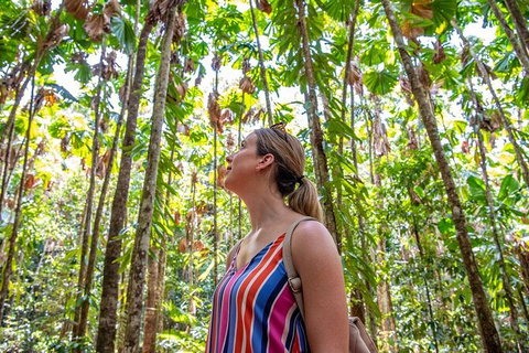 5 Day Australia Retreat: Queensland Daintree - Accommodation VIC 3
