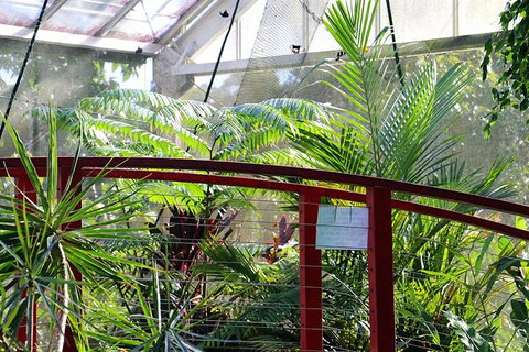 Australian Butterfly Sanctuary- Virtual Interactive Tour With Private Guide - Accommodation VIC 2