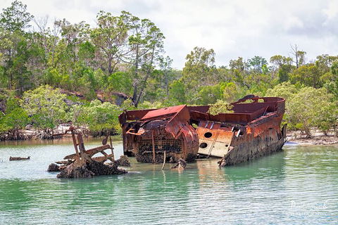 Sandy Straits Scenic & Wildlife Cruise - Accommodation VIC 9