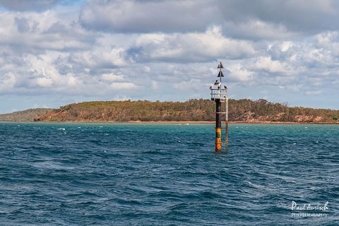 Sandy Straits Scenic & Wildlife Cruise - Accommodation VIC 6
