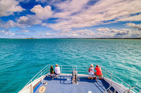 Sandy Straits Scenic & Wildlife Cruise - Accommodation VIC 7