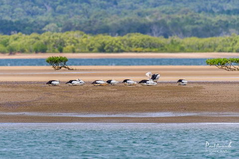 Sandy Straits Scenic & Wildlife Cruise - Accommodation VIC 3