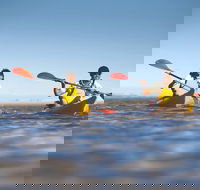 Kangaroo Island Self-Guided Kayaking on the Harriet River - Accommodation VIC