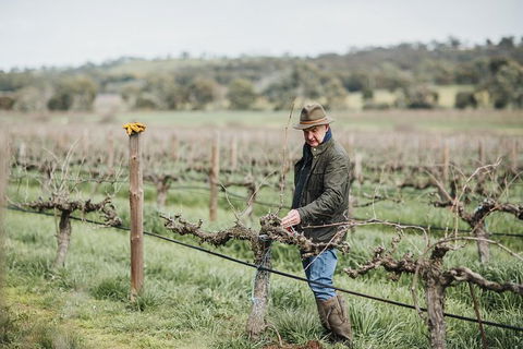 Armagh Vineyard Exclusive Wine Experience And Lunch - Accommodation VIC 0