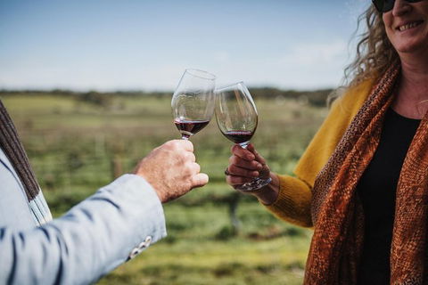 Armagh Vineyard Exclusive Wine Experience And Lunch - Accommodation VIC 1
