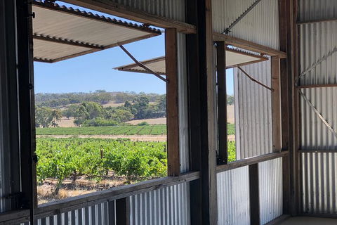 Armagh Vineyard Exclusive Wine Experience And Lunch - Accommodation VIC 5