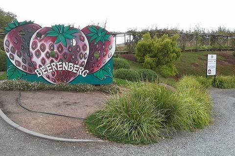 Adelaide Hills Regional / Hahndorf German Village Tour - Accommodation VIC 6