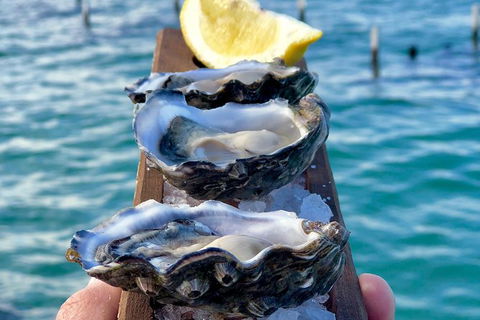 Coffin Bay Oysters, Ocean & Nature Tour - Accommodation VIC 0