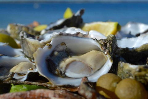 Coffin Bay Oysters, Ocean & Nature Tour - Accommodation VIC 8