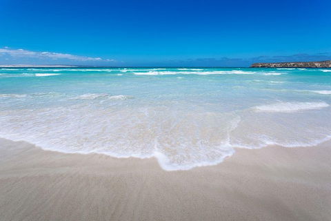 Coffin Bay Oysters, Ocean & Nature Tour - Accommodation VIC 14