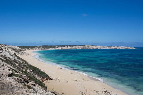 Coffin Bay Oysters, Ocean & Nature Tour - Accommodation VIC 16