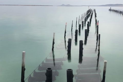 Coffin Bay Oysters, Ocean & Nature Tour - Accommodation VIC 15