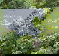 Yalumba Nursery  Grenache Discovery Tour  Platter Lunch - Accommodation VIC