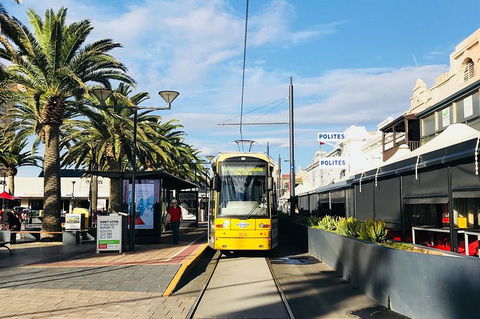 Adelaide Driving Tour - Accommodation VIC 2