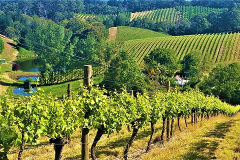 Adelaide Hills Private Day Tour - Accommodation VIC 0