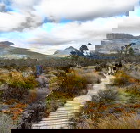 Cradle Mountain Day Tour - Accommodation VIC