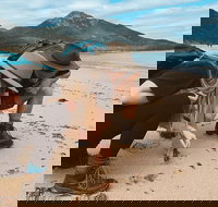 Freycinet Walking Tour - Accommodation VIC