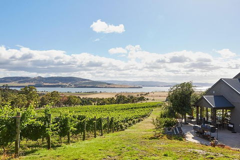 Launceston Wine & Sightseeing Tours - Accommodation VIC 0