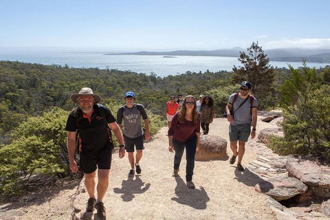 Half-Day Tour To Wineglass Bay From Launceston With Guide - Accommodation VIC 4