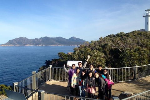 Half-Day Tour To Wineglass Bay From Launceston With Guide - Accommodation VIC 3