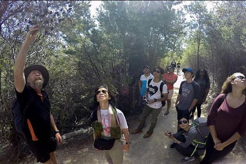 Half-Day Tour To Wineglass Bay From Launceston With Guide - Accommodation VIC 1