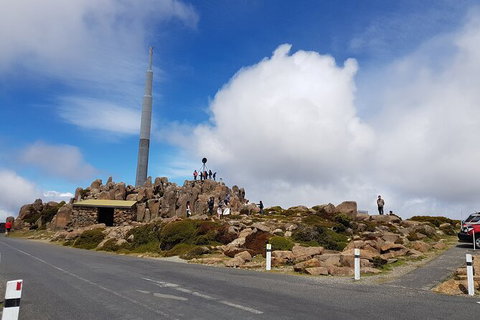 Mt. Wellington Morning Hike + Afternoon Beer & History Walk - Accommodation VIC 21