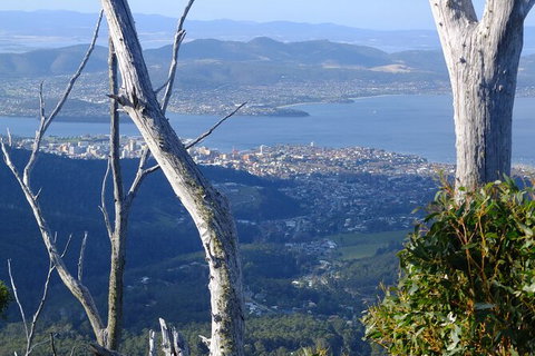 Mt. Wellington Morning Hike + Afternoon Beer & History Walk - Accommodation VIC 10