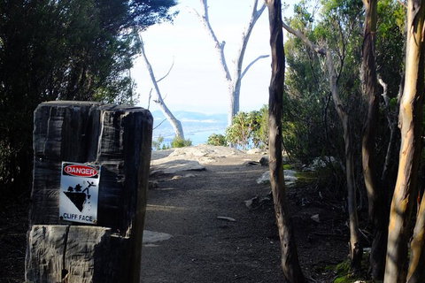 Mt. Wellington Morning Hike + Afternoon Beer & History Walk - Accommodation VIC 14