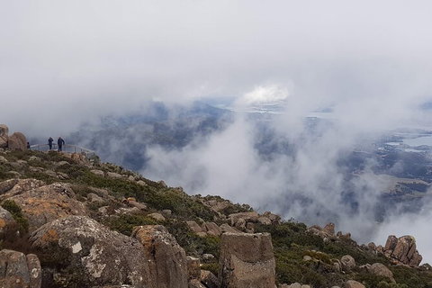 Mt. Wellington Morning Hike + Afternoon Beer & History Walk - Accommodation VIC 18