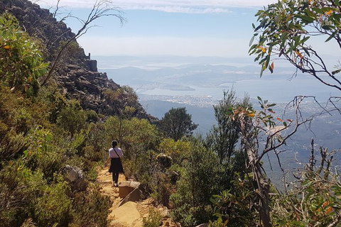 Mt. Wellington Morning Hike + Afternoon Beer & History Walk - Accommodation VIC 1