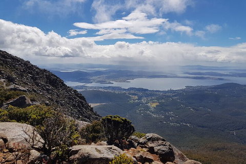 Mt. Wellington Morning Hike + Afternoon Beer & History Walk - Accommodation VIC 5